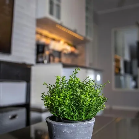 Riia Maantee Apartment