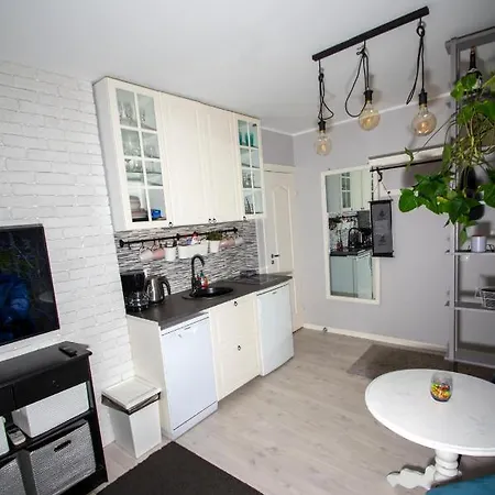 公寓 Riia Maantee 派尔努