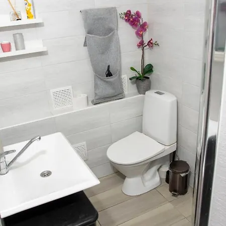 Riia Maantee 公寓 派尔努