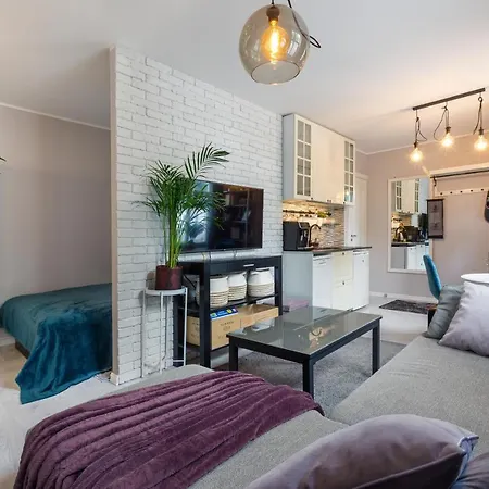 Riia Maantee Apartment *