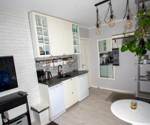 公寓 Riia Maantee 派尔努