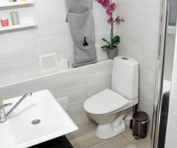 Riia Maantee 公寓 派尔努