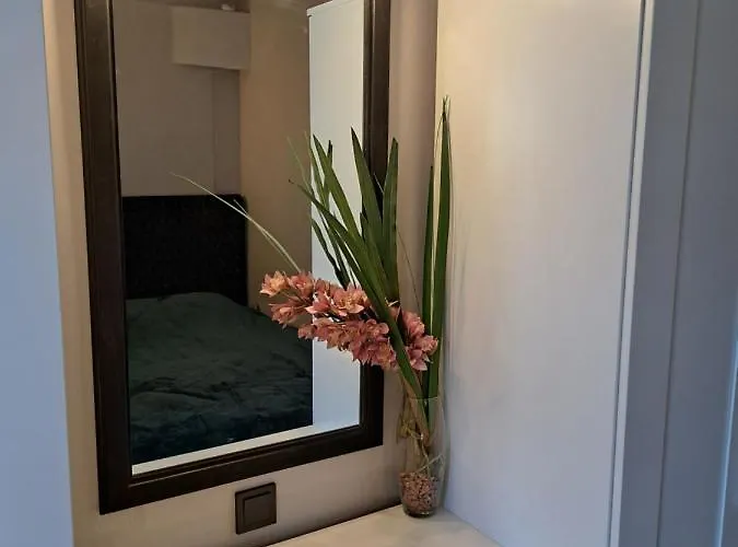 Riia Maantee * 派尔努