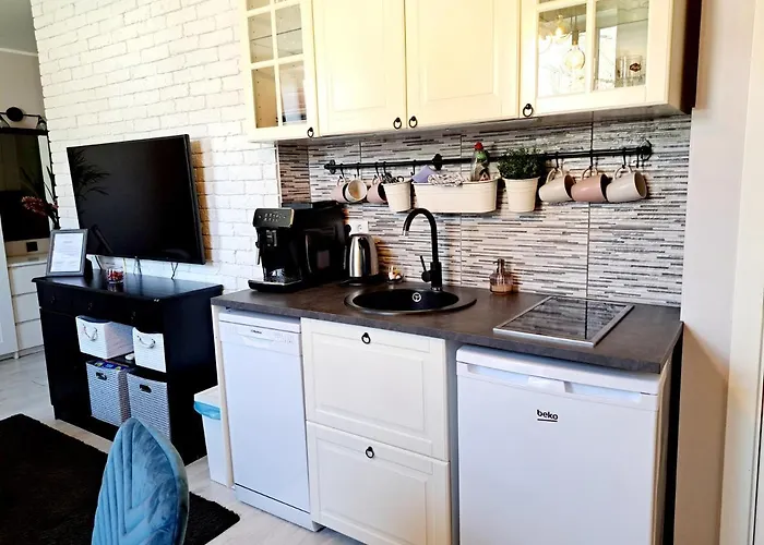 Riia Maantee 公寓 派尔努