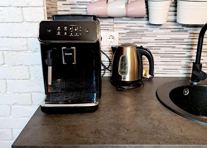 公寓 Riia Maantee 派尔努